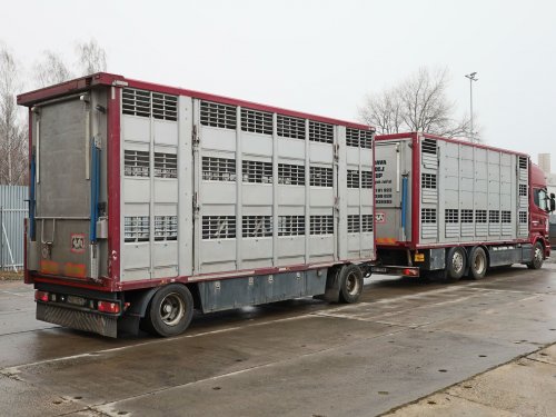 Scania R520, 6x2, EURO 6, RETARDÉR,  + PŘÍVĚS 18 TUN, PRŮJEZDNÁ SOUPRAVA PRO PŘEPRAVU ZVÍŘAT