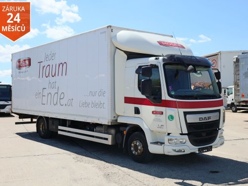 DAF LF 220, EURO 6, 18 PALET, 12 TUN, TOP PNEU, TOP STAV, SERVISOVÁNO